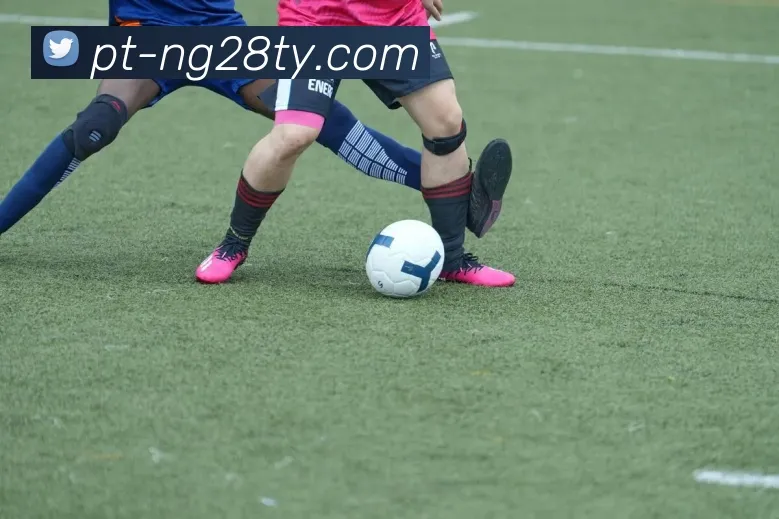 2026世界杯48队FIFA排名分析新西兰垫底